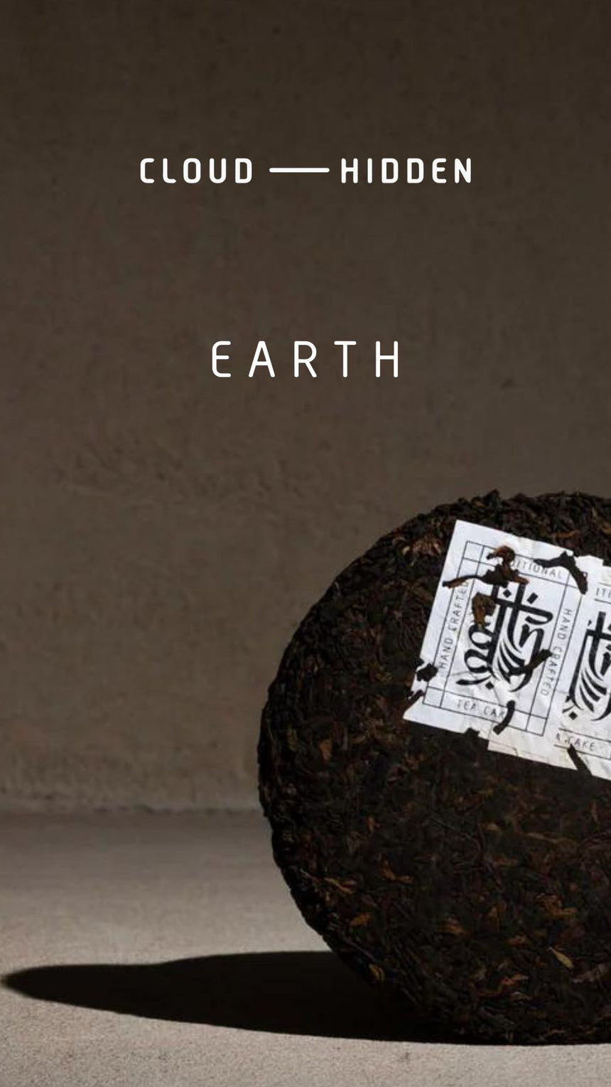 EARTH - a cake which returns us
