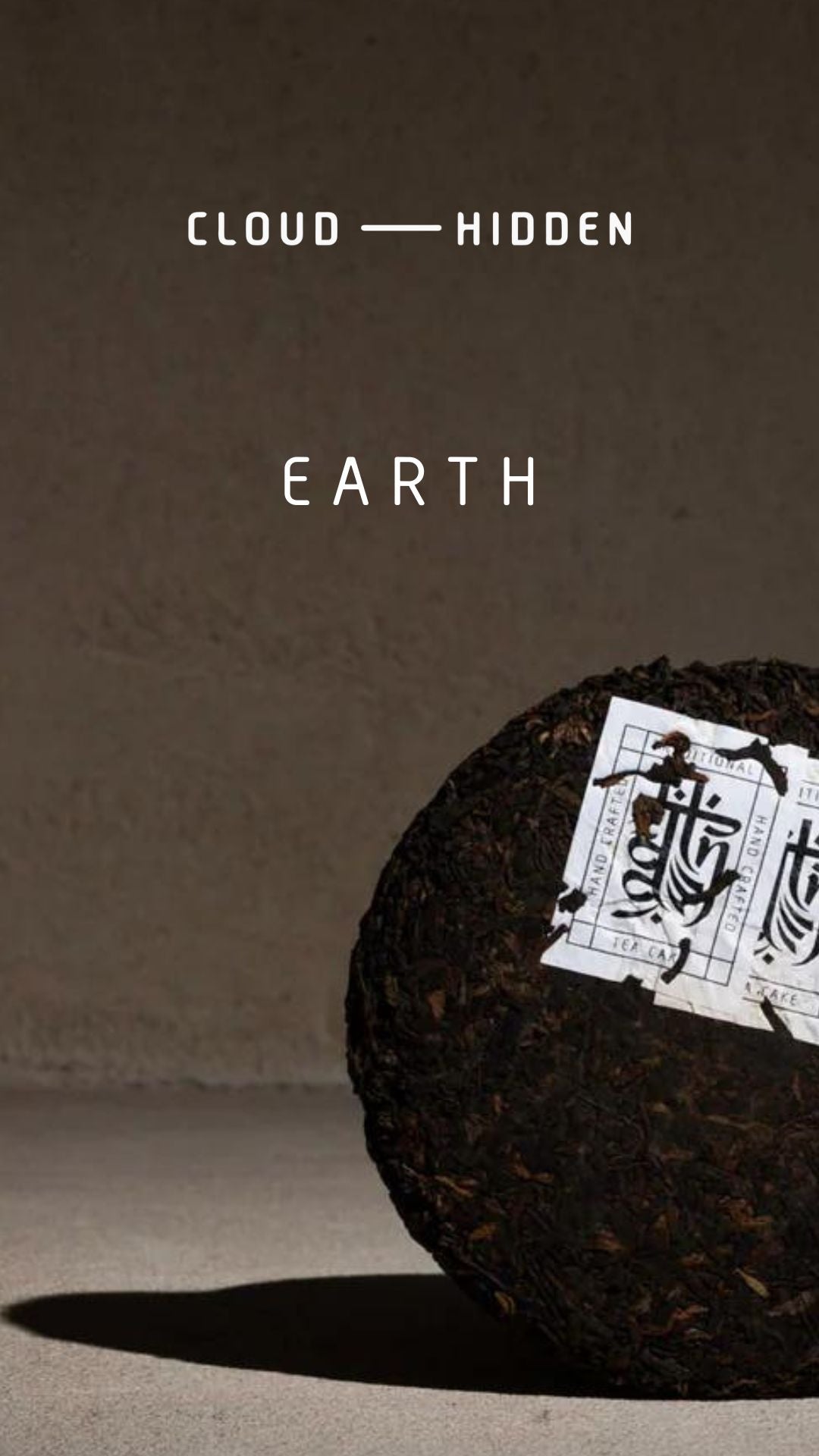 EARTH - a cake which returns us