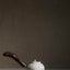 Wood Handle | 250ml | Limited Edition White