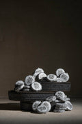 Solitude | Shou Puerh Tea | Biscuit